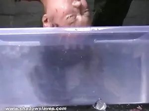 Dá cabo das filme po ...