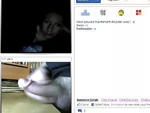 Metade das Gatas Asi ...